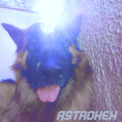 DogCalledJungle.wav