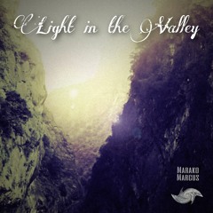 Light in the Valley