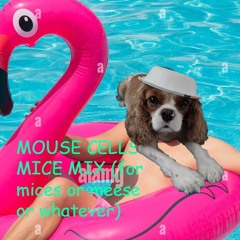 MOUSE CELLS MICE MIX (for mices or meese or whatever)