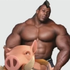 Młody Arab - HogRider