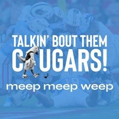 12.4 - The meep meep weep