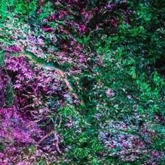 08 Garden Club Sessions 08