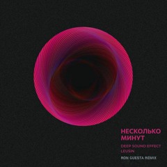 DSE x Leusin - Несколько Mинут(Ron Guesta remix)