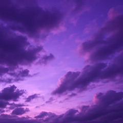 Purple Skies