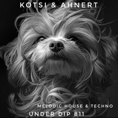 Kotsi & Ahnert UNDER DIP Ep 811 Melodic House & Techno (123-124bpm)