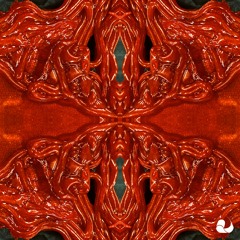 PREMIERE | Vendex - City Of The Damned [GOMB58]