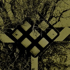 brain bleed (instrumental)