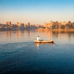 بالمشيئة - المجموعة