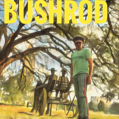 Complicated Mind In A Simple World