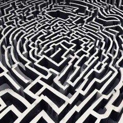Life's Maze