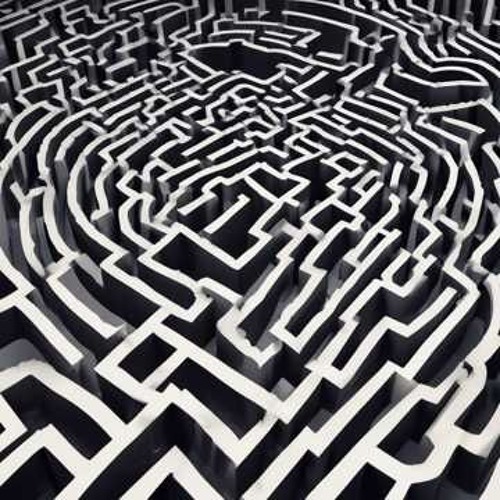Life's Maze