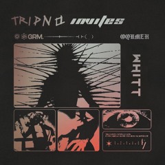 Tripno Invites 006 | Whitt