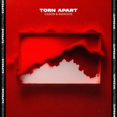 CASON & Indicate - Torn Apart