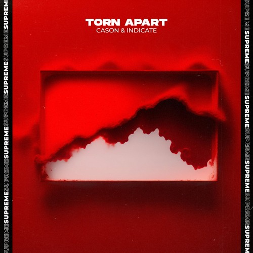CASON & Indicate - Torn Apart