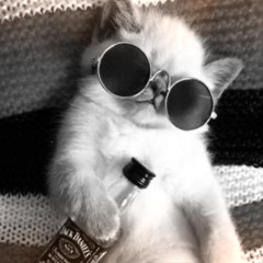 I regret everything ive done (ft. murdamars, scammerappertrapper, miyamee, kik)