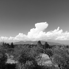 Fading Into The Never