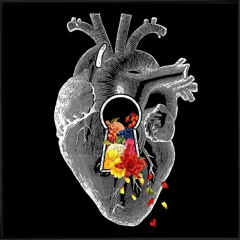 Shayan Eshraghi   Chvrsi - Telesm  ACOUSTIC VERSION.mp3