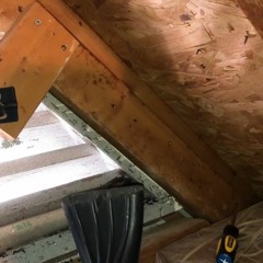 AAAC Wildlife Removal of Fort Worth - Bat Removal Fort Worth