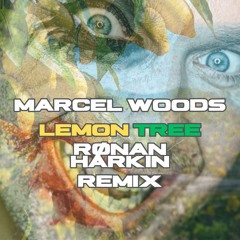 Lemon Tree (Ronan Harkin Remix)