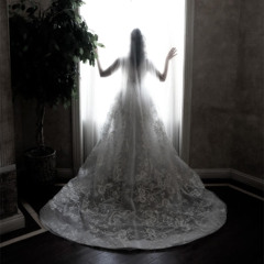 Steven Gregory Studios