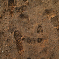Shadow steps