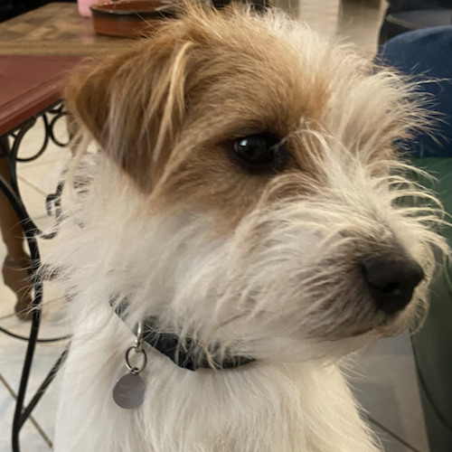 Stream Electric Light Orchestra When I was a boy by Nath Listen