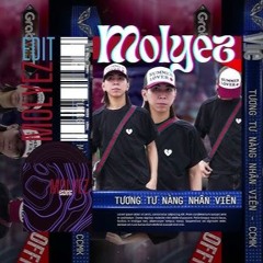 TƯƠNG TƯ NÀNG NHÂN VIÊN - NHB MS