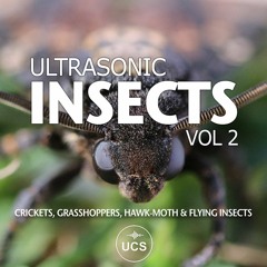 Ultrasonic Insects VOL 2 - SOUND LIBRARY DEMO