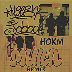 Neesh X DJ Jabbar - Mula [Hokm Remix]