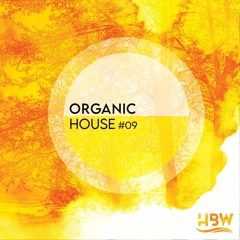 Organic House Vol.9 - Zizzi Selection