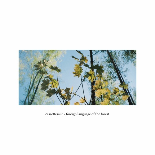 foreign language of the forest