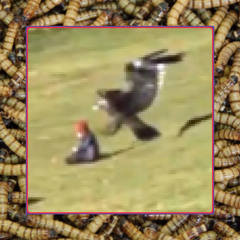 (UPDATED) Just XavierWulf, City Morgue, FreddieDredd, GHOSTEMANE, $uicideboy$, Ramirez, and Germ