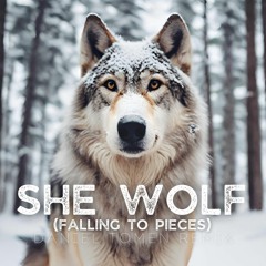 She Wolf (Falling To Pieces) Ft. Sia (Daniel Tomen Remix)  (previa para não ter Copyright)