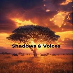 DJ GULY - Shadows & Voices