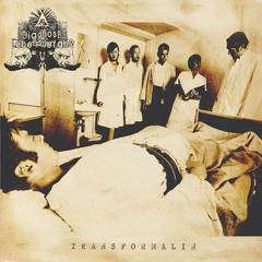 Diagnose: Lebensgefahr — Transformalin
