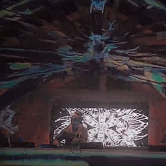 Wicked Woods 2025 into sunrise 5:30am