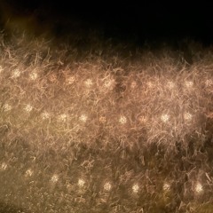 If You Break it, You Buy it