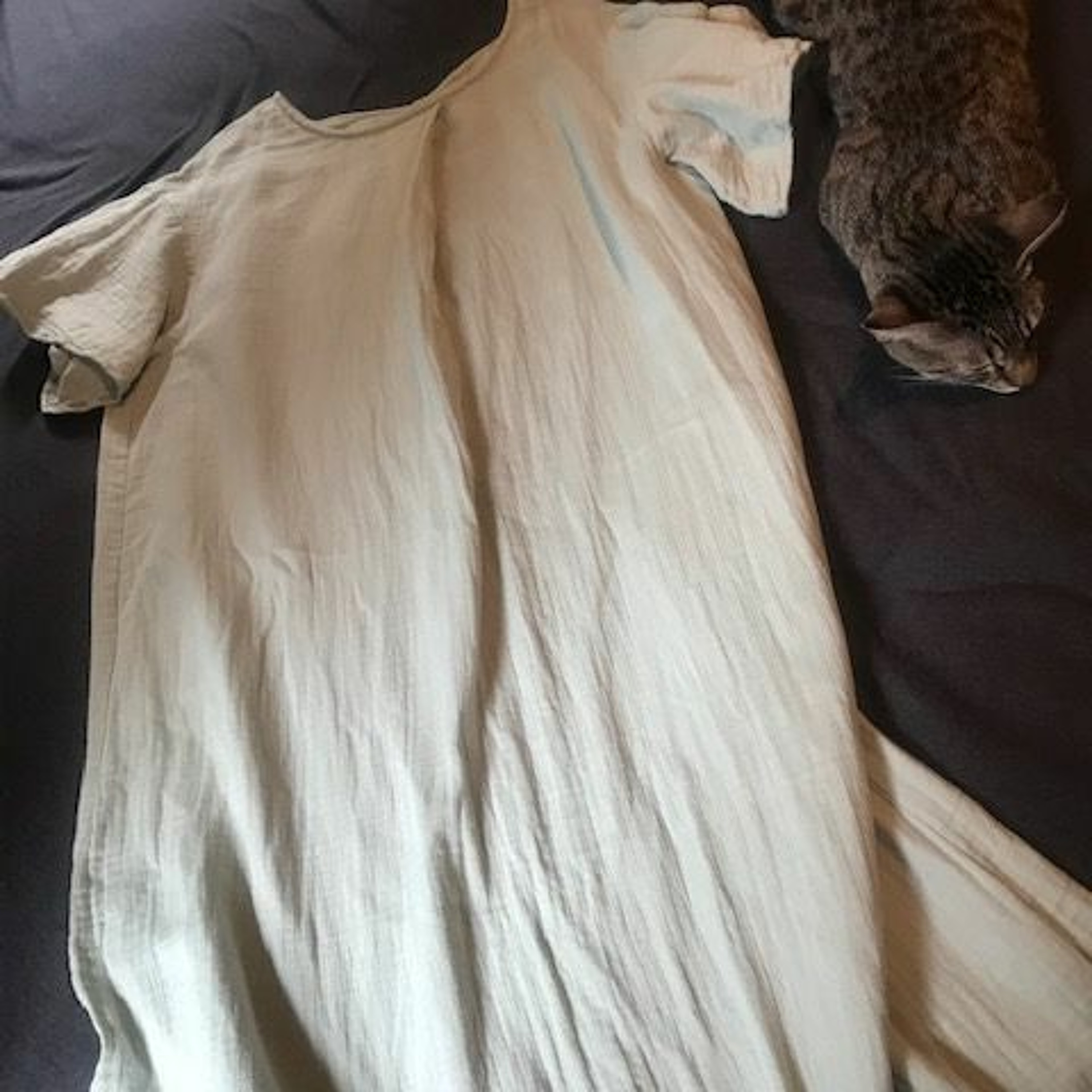 Podcast 065 夏の快眠におすすめのお気に入りパジャマを紹介!