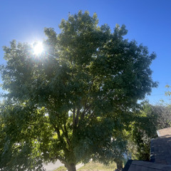 JUST GOT BACK FT. WOLFLOW (PROD. XXFEARMENOTXX)