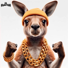LIL PLIMPTON - PUT EM UP (FREE DOWNLOAD)