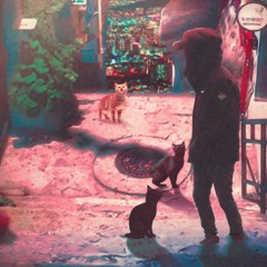길냥이(street Cat)
