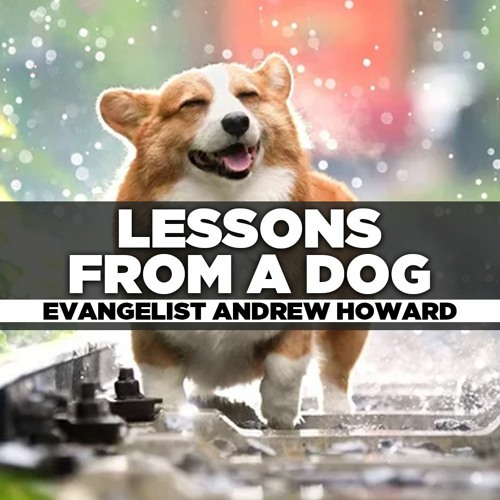stream-evangelist-andrew-howard-2021-10-31-sun-am-preaching-lessons