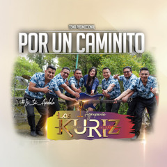 Por Un Caminito