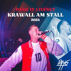 PANG IT - Live @Krawall Am Stall 2024