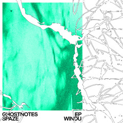 Steelo (Ghostnotes EP)