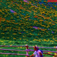 S T A R I N G  AT THE  S U N