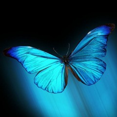 Sylwia Grzeszczak - Motyle (Dj Tomi House Piano Remix 2024)