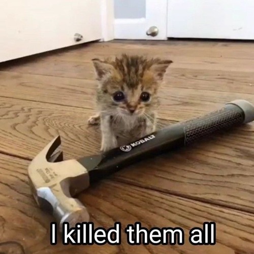 Сигма Бой —  ЖИТНОСТЬ