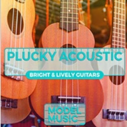 Stream Pete Jones Music Listen to Plucky Acoustic Bright and Lively