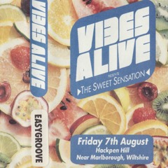 Easygroove - Vibes Alive 'The Sweet Sensation' - 7th August 1992